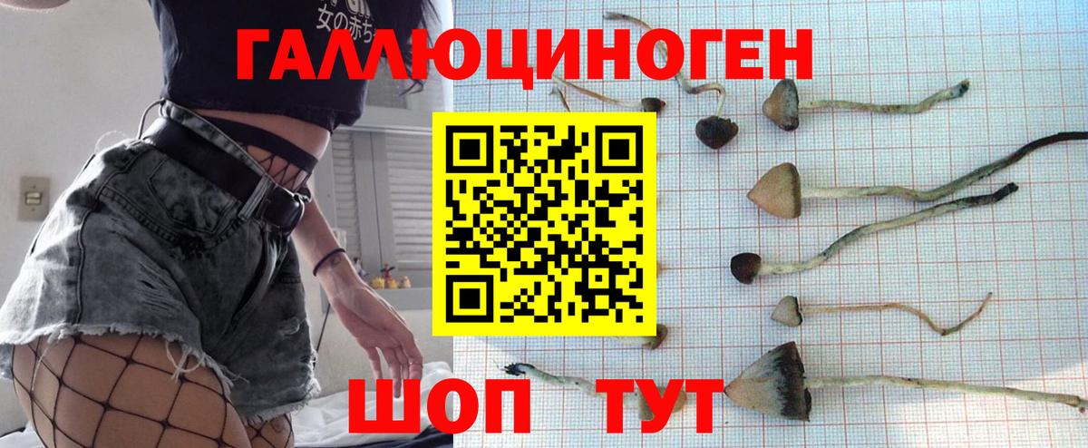 Псилоцибиновые грибы Psilocybe  купить   Котлас  Вход с VPN 