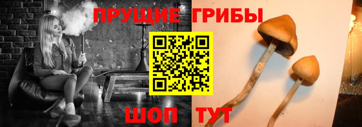 Псилоцибиновые грибы мухоморы Котлас